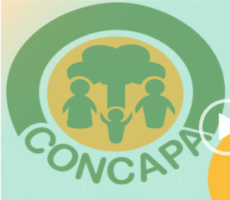 ¿Qué es CONCAPA?